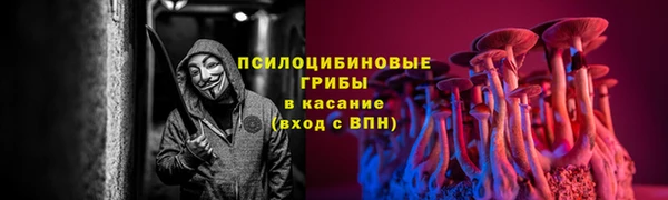 соль ск Алексин